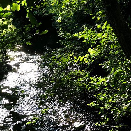 Otter Lodge Auchterarder Luaran gambar